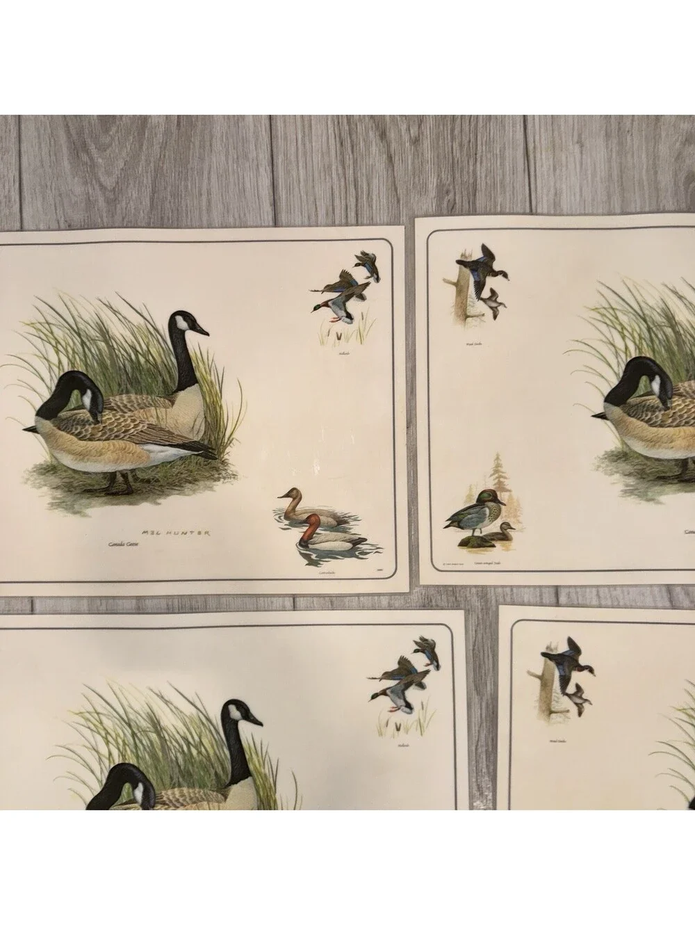 4 Vintage Mel Hunter Canada Geese Wildlife Placemats Duck Hunting Cabin 11x17